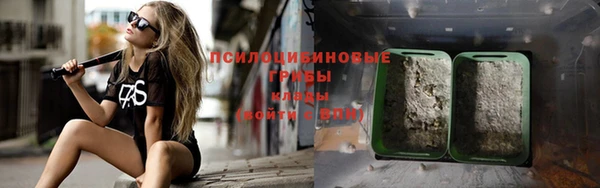 ГАЛЛЮЦИНОГЕННЫЕ ГРИБЫ Володарск