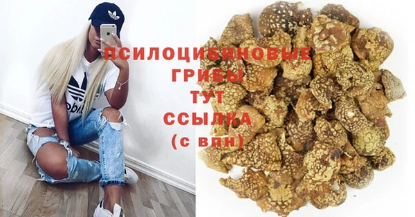 ГАЛЛЮЦИНОГЕННЫЕ ГРИБЫ Володарск