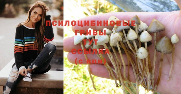 не бодяженный Волосово