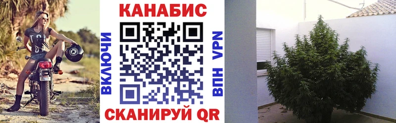 Каннабис планчик  Вышний Волочёк 